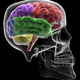 Illustration for article titled Can you teach yourself synaesthesia?